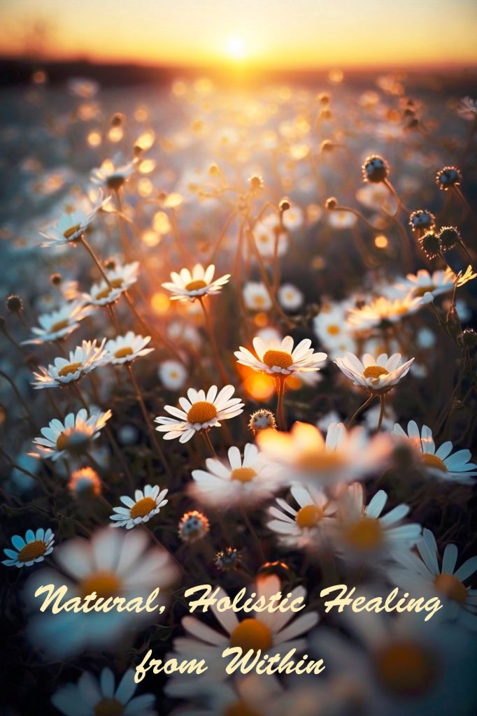 Flowers at dawn